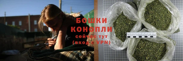 apvp Белокуриха