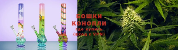apvp Белокуриха