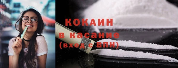 mix Богородицк