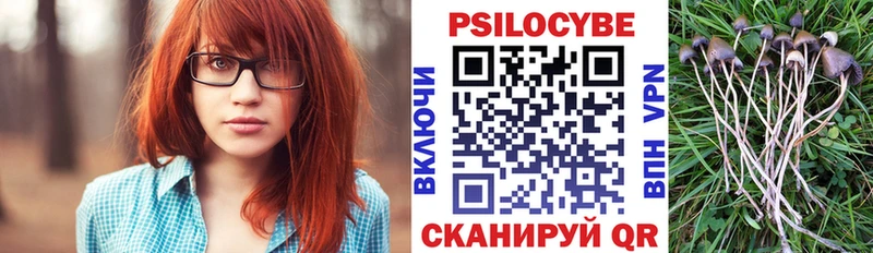 Галлюциногенные грибы мицелий  Кстово 