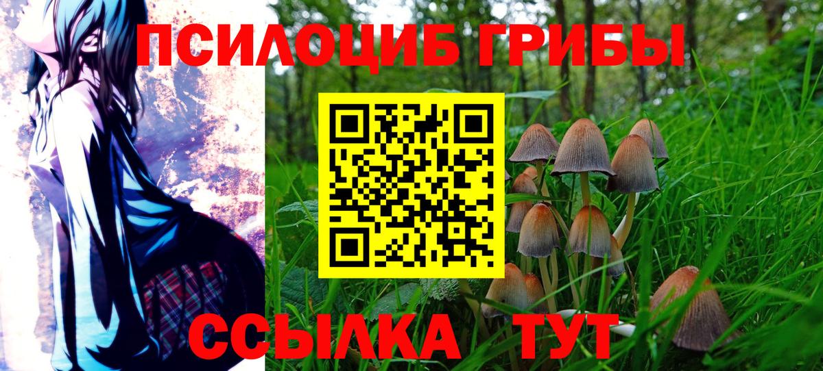 Псилоцибиновые грибы мицелий  Галлюциногенные грибы мицелий  Кстово  Вход с VPN 