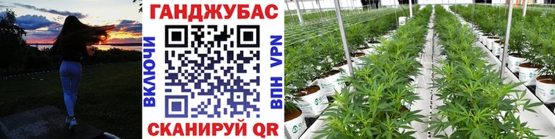 Каннабис семена  Кстово 