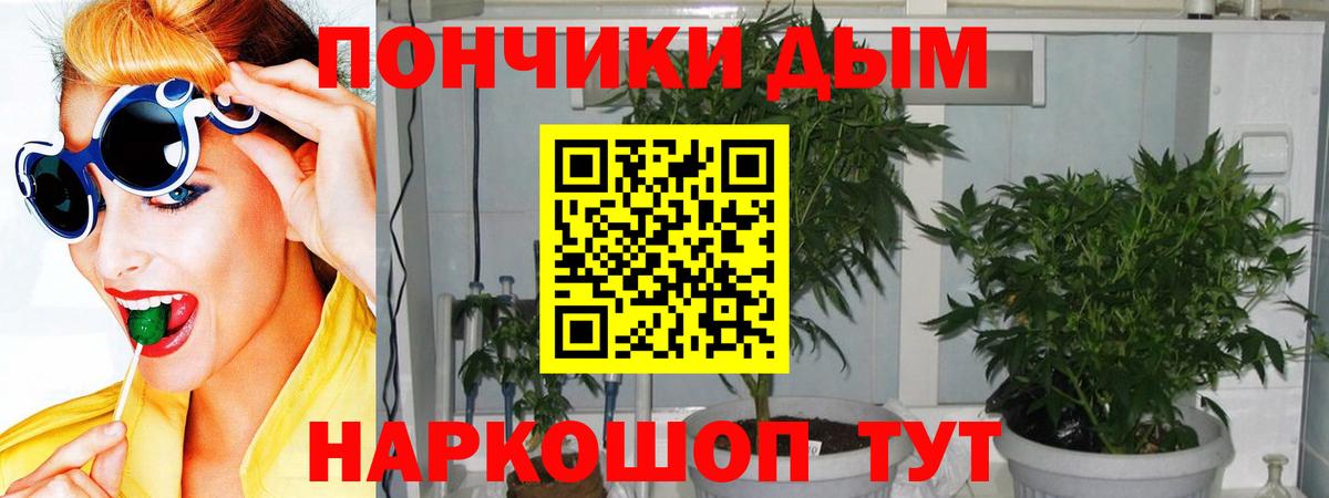 Каннабис планчик  Каннабис Ganja  Вход с VPN  Кстово  Бошки Шишки Amnesia 