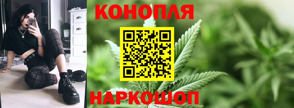 Шишки марихуана гибрид Кстово